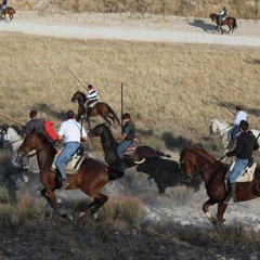 Los caballistas «cabreados» con la limitación de 20 caballos por los pinares