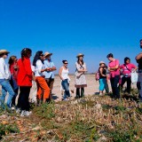 Cuéllar programa cursos de horticultura para optar a los huertos municipales