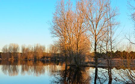 La Laguna del Espadañal será incluida en el Catálogo Regional de Zonas Húmedas