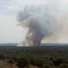 Un gran incendio arrasa los pinares entre Nieva y Nava de la Asunción