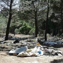 Vertidos incontrolados de basuras en pinares del entorno de Cuéllar