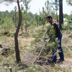 8 desempleados se formarán en actividades forestales en Cuéllar