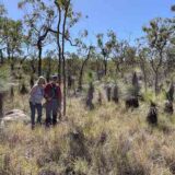 Nómadas por Australia (8): en el corazón del bosque