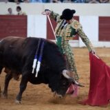 Olmedo cierra sus fiestas con una excelente novillada de Brazuelas