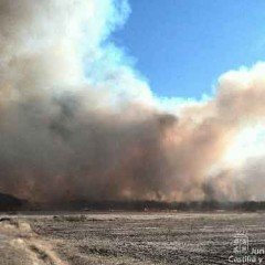 El incendio de Pinarejos se originó en una granja