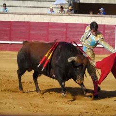 Javier Herrero se recupera favorablemente