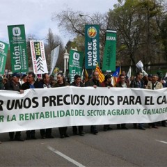 Mas de 5.000 agricultores reclaman en Madrid «precios justos»