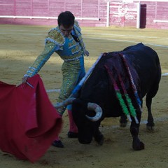 Javier Herrero cortó dos orejas en Cantalejo