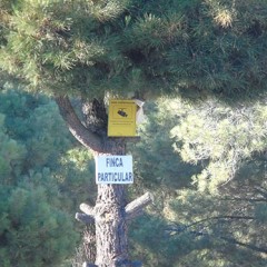 Mas medidas de seguridad en los encierros por la zona de pinares