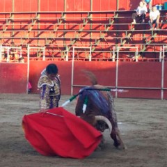 Javier Herrero cortó una oreja en La Adrada