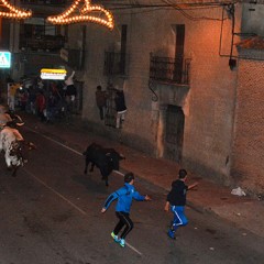 Pregón de Villagrán y encierro con toros de La Laguna en La Nava
