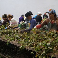 El paro baja medio punto en la provincia, a costa de la pérdida de población activa