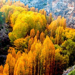 Colores de otoño (3): Cañón del Duratón