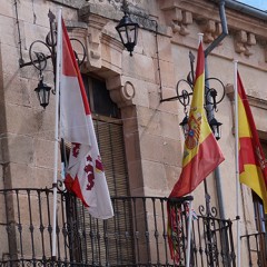 Desde el mar de Pinares: Carta urgente al rey de las Españas