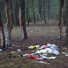 Jornada para limpiar de basura los pinares en Mata de Cuéllar
