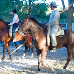 Este fin de semana Concurso completo de Equitación en el Centro El Viñon, de Hontalbilla