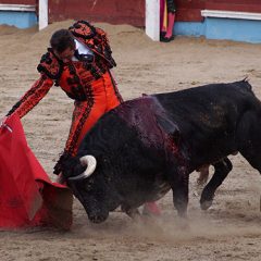 El Fandi bordó el toreo ante un gran toro de Quintanar