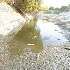El cauce del río Cega se seca en la zona sur de Valladolid