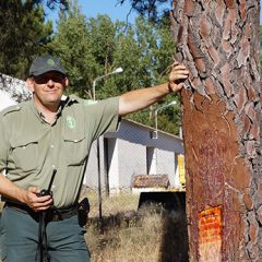 Aceves «en alerta» en el Día de los agentes forestales