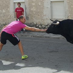 Jugando con toros en Montemayor