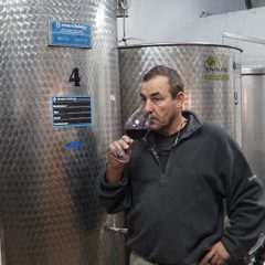 «Sendero del Pino» el vino artesano de Nava de la Asunción