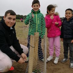 Los alumnos de Cantalejo plantan 50 árboles en las lagunas