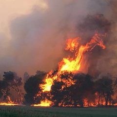 La Corporación de Nieva agradece la colaboración en la extinción del incendio del 20 de abril