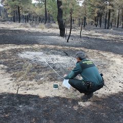 El SEPRONA atribuye a la imprudencia grave de una persona el incendio forestal de Nieva y La Nava