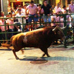 Suelta de 2 toros de cajón en la noche de San Juan en Carbonero el Mayor