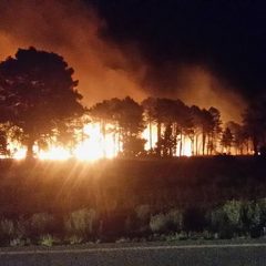 Desalojados 30 vecinos de Navalilla por un incendio forestal