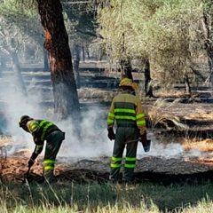 La Junta informa que se actuó «correctamente» en el incendio de Mozoncillo
