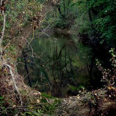 II edición del Concurso fotográfico en defensa del río Cega