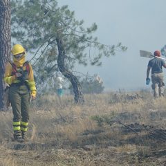 Aceves exige la puesta en marcha del operativo contra incendios forestales