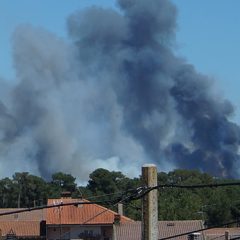El incendio llega al municipio de Fuente el Olmo de Fuentidueña y supera ya las 200 has