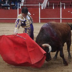 Javier Herrero toreando «bajo la lluvia» en Navas de Oro