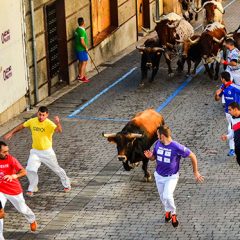 Aumentan los espectáculos taurinos celebrados en la provincia de Segovia