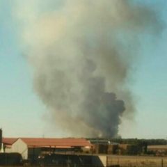 2,5 hectáreas de pinar quemadas en un incendio en Pinarejos