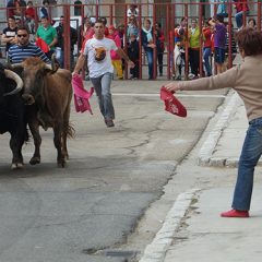 La Función de Montemayor finalizó con toros en las calles y un almuerzo popular