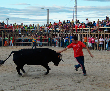 La plaza de toros de La Empalizada declarada Bien de Interés Cultural