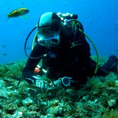 La cuellarana Marina Palacio ‘pionera’ en la recuperación del coral naranja