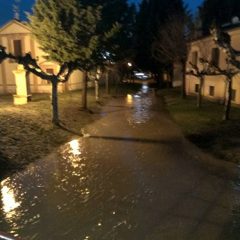 El agua vuelve a correr por Arroyo de Cuéllar