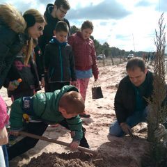 Los escolares del Carracillo plantan 70 árboles en Sanchonuño