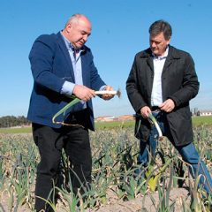 La Diputación renueva el convenio con los productores hortícolas del Carracillo