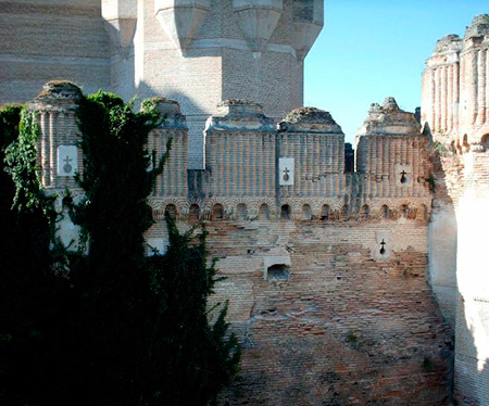 La hiedra: «una amenaza» para los muros exteriores del castillo de Coca