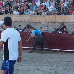 Un herido leve tras la suelta del toro de San Roque en Coca