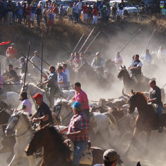 Un caballista herido grave en el encierro de Nava de la Asunción