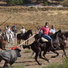 Dos caballos corneados en el encierro de Arrabal de Portillo