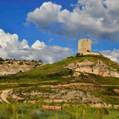 Por el camino del Cid (4):  en tierras de Soria