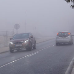 Nivel amarillo por nieblas en la tierra de Pinares