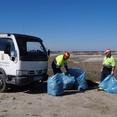 Recogen 4 camiones de basura en la limpieza de Las Lomas